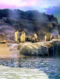 Up Close with Animals at Bird Paradise