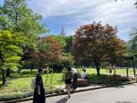 Shinjuku Gyoen National Garden: A Serene Oasis Amidst the Urban Jungle