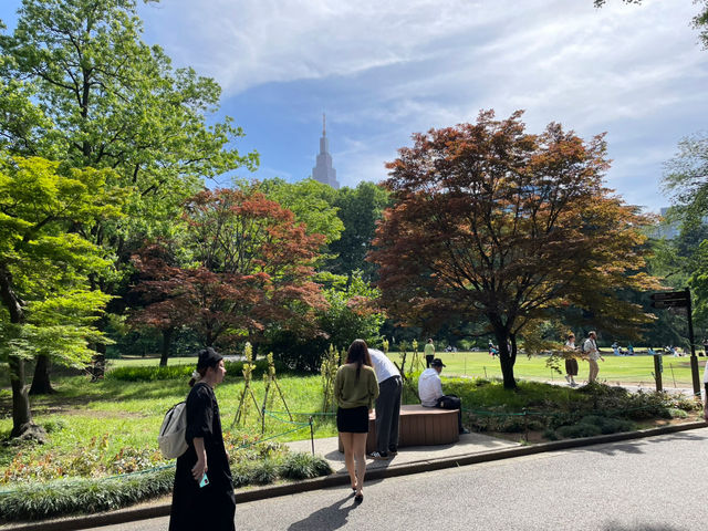 Shinjuku Gyoen National Garden: A Serene Oasis Amidst the Urban Jungle