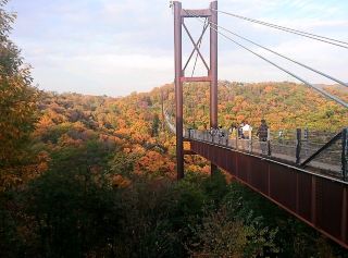 [ชิงช้าดวงดาว: เมืองคาทาโนะ จังหวัดโอซาก้า] เพลิดเพลินไปกับใบไม้เปลี่ยนสีบนสะพานแขวนอันน่าประทับใจ 🍁