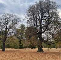 倫敦肯辛頓公園：在都市中的綠意悠遊