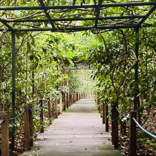 A Floral Paradise in National Orchid Garden 🇸🇬