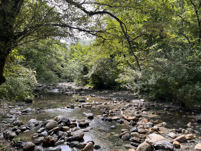 長野県営烏川渓谷緑地 @長野・安曇野🏞️