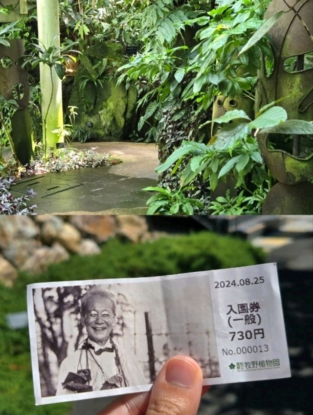 デートにぴったり！高知市内の植物園