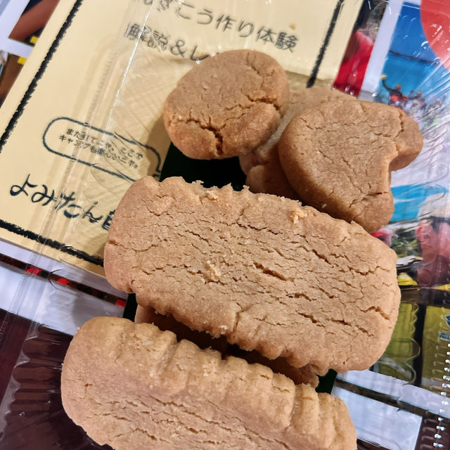 【沖縄】いろんなことがひとつの場所で体験できる⛱️🏝️