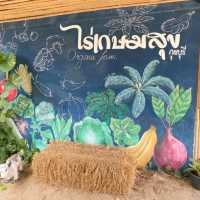 ชวนมาสุขภาพดีที่ไร่เกษมสุข กุยบุรี✨️