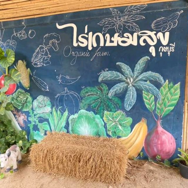 ชวนมาสุขภาพดีที่ไร่เกษมสุข กุยบุรี✨️