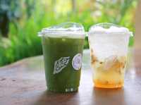 ทานข้าวโพดหวานที่ Cornily Corn farm