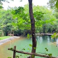  Into  the  wild คาเฟ่กลางป่า มีน้ำตกไหลผ่าน