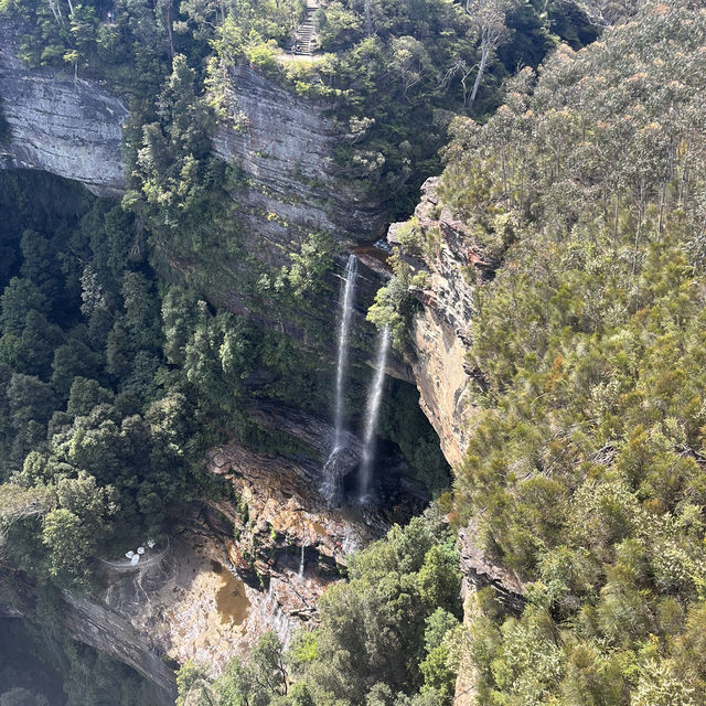 シドニー4泊5日旅✈️🇦🇺旅行計画✔