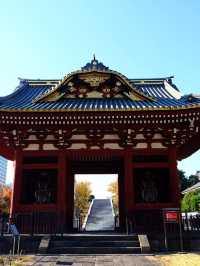 東京賞楓秘境🍁：芝公園！遠眺東京鐵塔🗼最佳位置！ 
