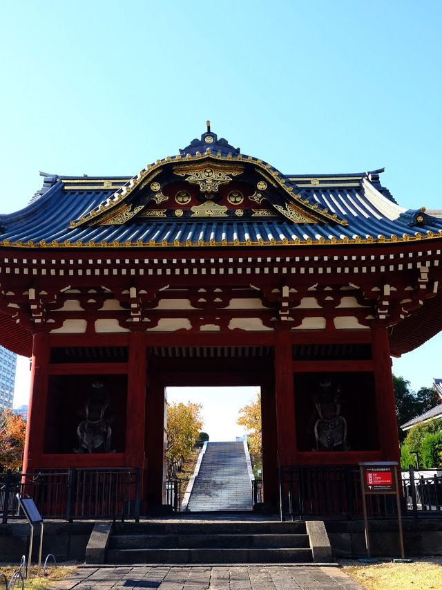 東京賞楓秘境🍁：芝公園！遠眺東京鐵塔🗼最佳位置！ 