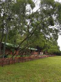 灣仔南營地：西貢西郊野公園