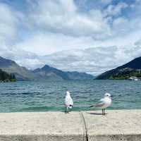 【NZ】ワカティプ湖