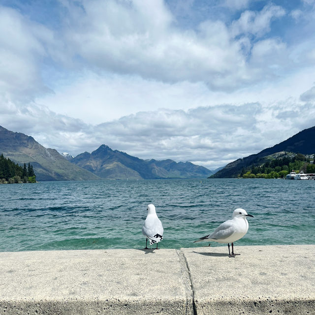【NZ】ワカティプ湖