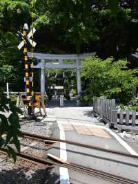 鳥居と江ノ電のコラボが素敵すぎる