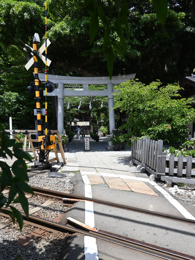 鳥居と江ノ電のコラボが素敵すぎる