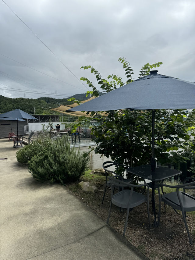 갤러리같은 도심속 숲 카페 🌳