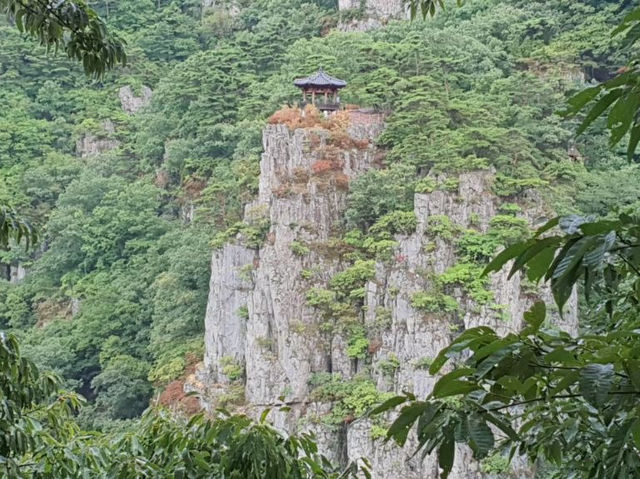 가을하면 등산이 가고싶더라구요!