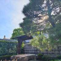 ☆ 德川園