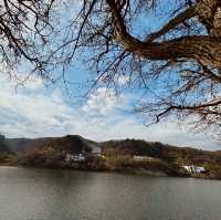 Autumn Splendor at Nami Island