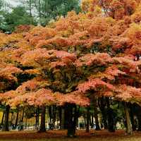 Nami Island