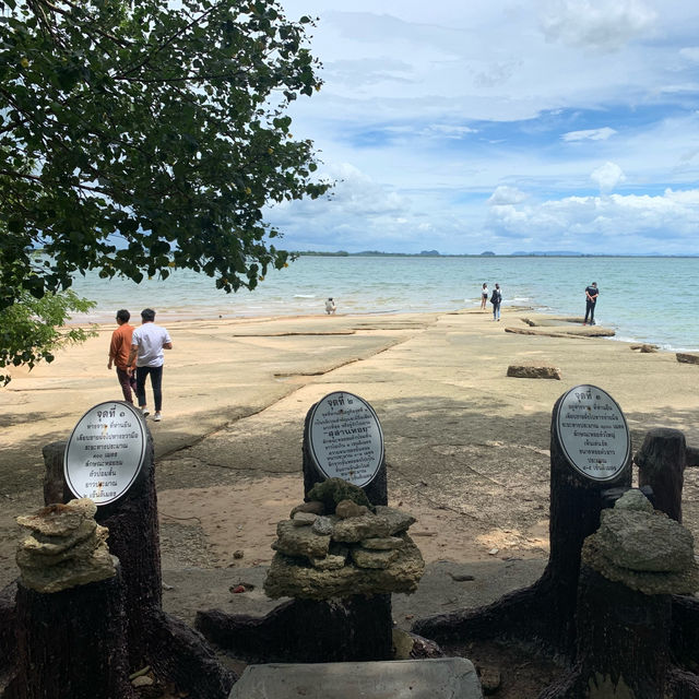 สุสานหอย 75 ล้านปี
