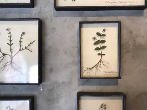 神奈川県・川崎市】special source atelier galleryでモリソン小林の