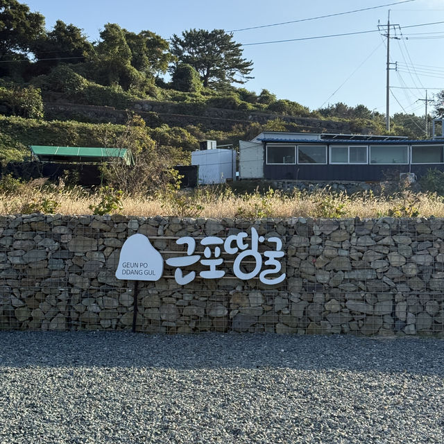 3개의 동굴에서 찍는 인생샷 천국🗻 거제 ‘근포땅굴‘