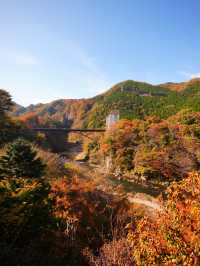 【栃木/鬼怒川】絶景！温泉だけじゃない鬼怒川の魅力