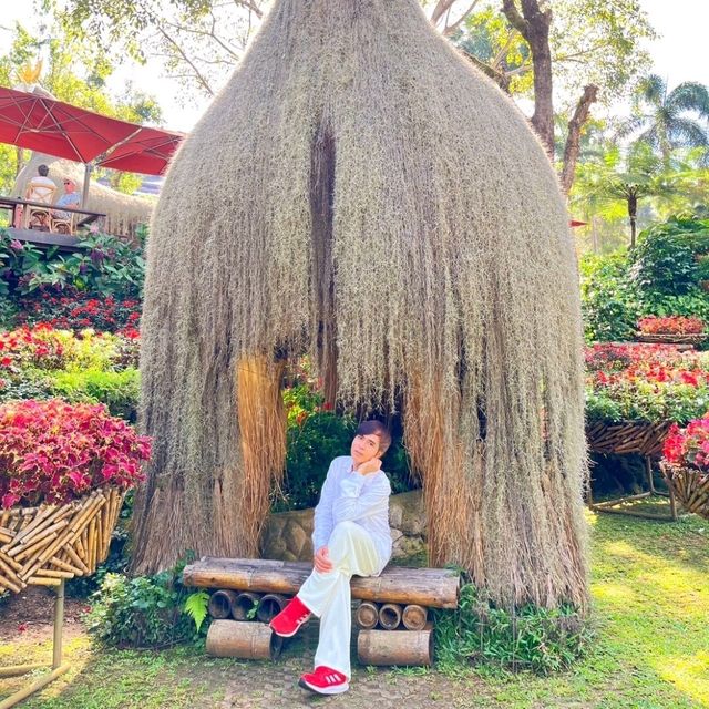 ชมดอกไม้สวย สวนแม่ฟ้าหลวง ดอยตุง