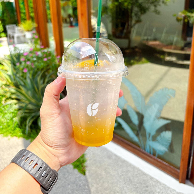 ⛰️Green Zone Coffee & Community⛰️