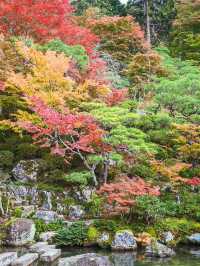 【滋賀】湖東三山最古のお寺で絶景紅葉