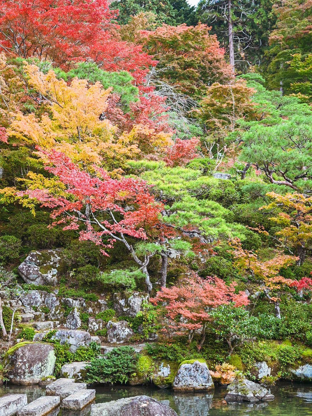 【滋賀】湖東三山最古のお寺で絶景紅葉