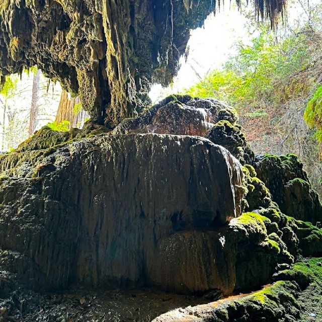 @ WESTCAVE OUTDOOR DISCOVERY CENTER.