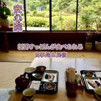 【安心院】その場で養殖している新鮮すっぽんが食べられる貴重店✨