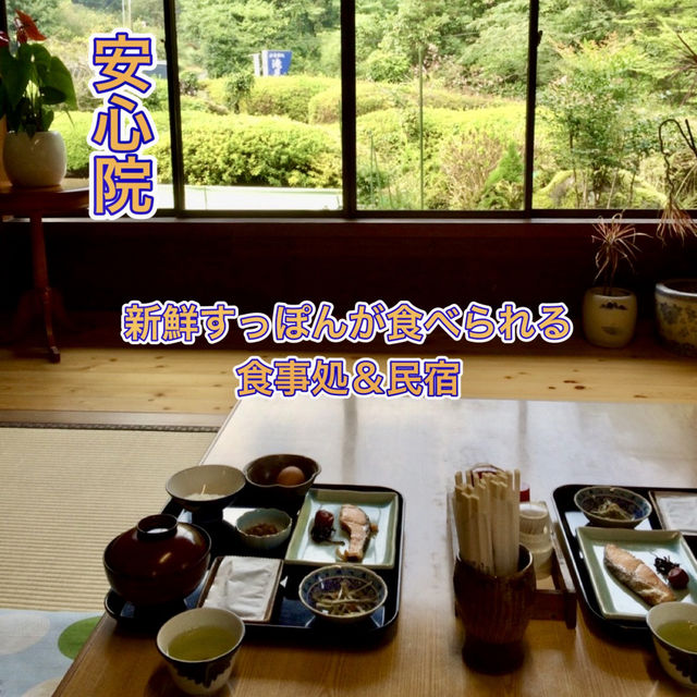 【安心院】その場で養殖している新鮮すっぽんが食べられる貴重店✨