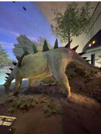 福井観光におすすめ🥰🦕見どころたっぷり！福井県立恐竜博物館🦕
