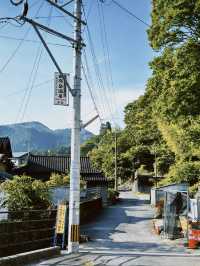 🇯🇵由布院小眾玩法｜田野、單車、美術館🖼️