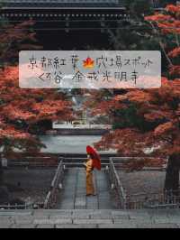 京都紅葉🍁穴場スポット 『くろ谷 金戒光明寺』