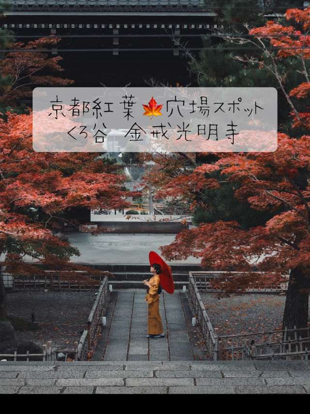 京都紅葉🍁穴場スポット 『くろ谷 金戒光明寺』