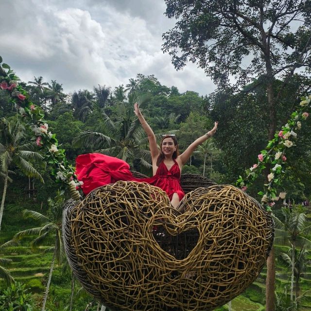 Uma Ceking Swing: A Thrill in the Heart of Bali