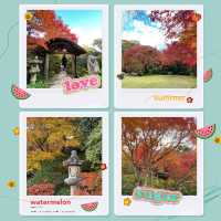 慶沢園：紅葉盛宴 🍁⛩️