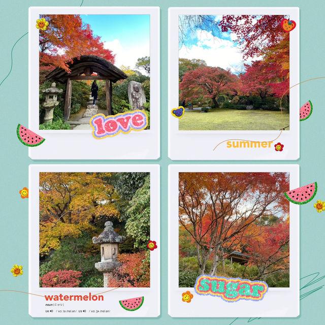 慶沢園：紅葉盛宴 🍁⛩️
