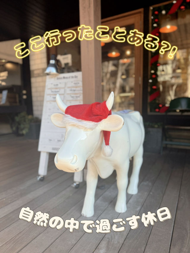 【軽井沢】星野エリアで過ごす休日🤍