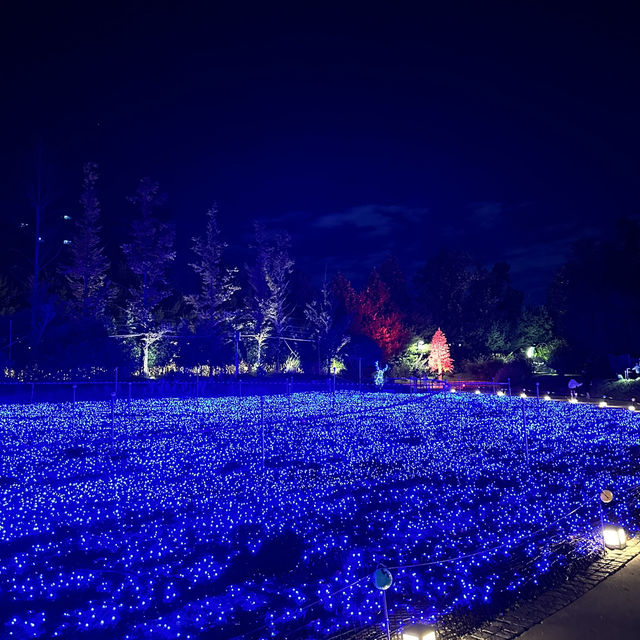 휴게소 옆 테마파크 별빛정원 우주💫🌠