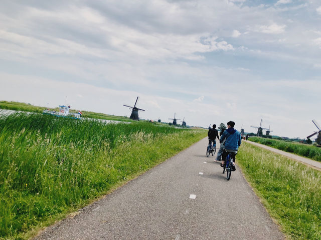 鹿特丹 / 荷蘭 風車之鄉：探索荷蘭小孩堤防的魅力