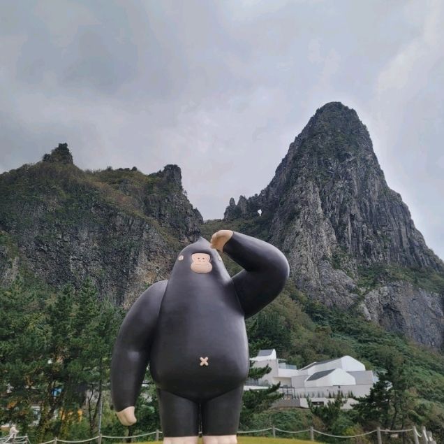 지구마불 우승여행에 방영된 코스모스 울릉도 방문기!