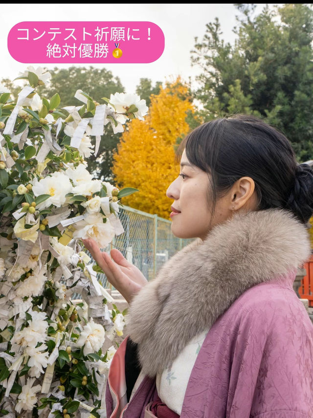 〜大阪府〜人生もやり直せる!?初詣にもにおすすめ神社