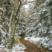 Asheville, North Carolina